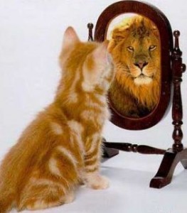kat-spiegel-leeuw
